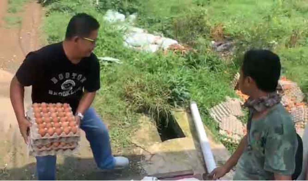 Viral Video Peternak Ayam Membuang Telur ke Lahan Kosong