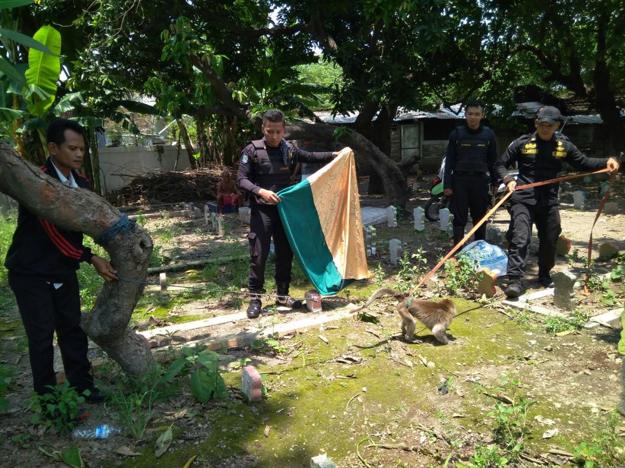 Satpol Cs Latihan Rescue Satwa Liar di KBS, Catat Jadwalnya!