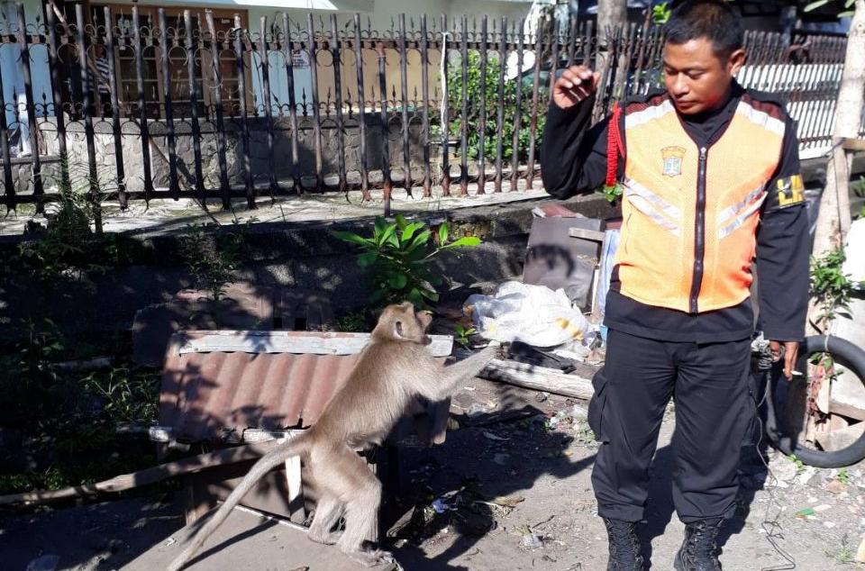 Iba Kepada Sang Kera, Ningsih Lapor 112