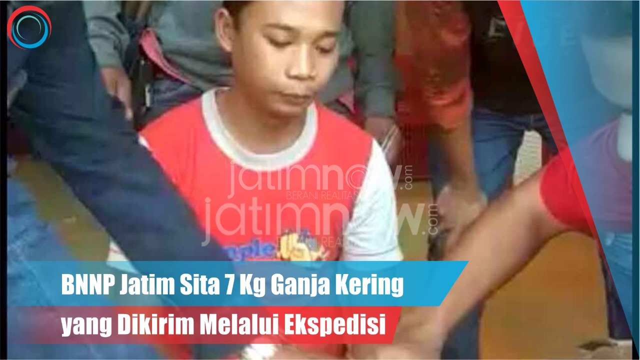 Video: 7 kg Ganja Kering disita BNNP Jatim