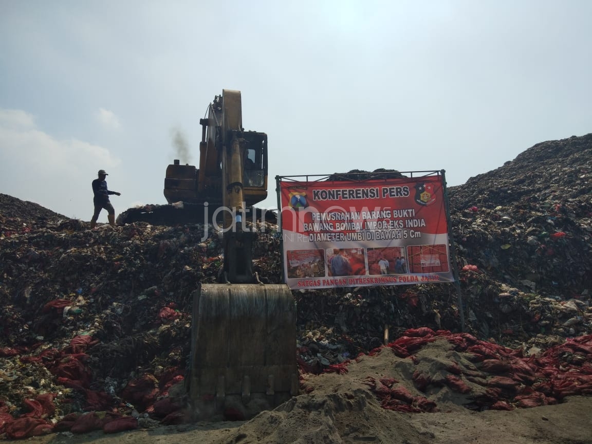 Pemusnahan bawang bombai impor.