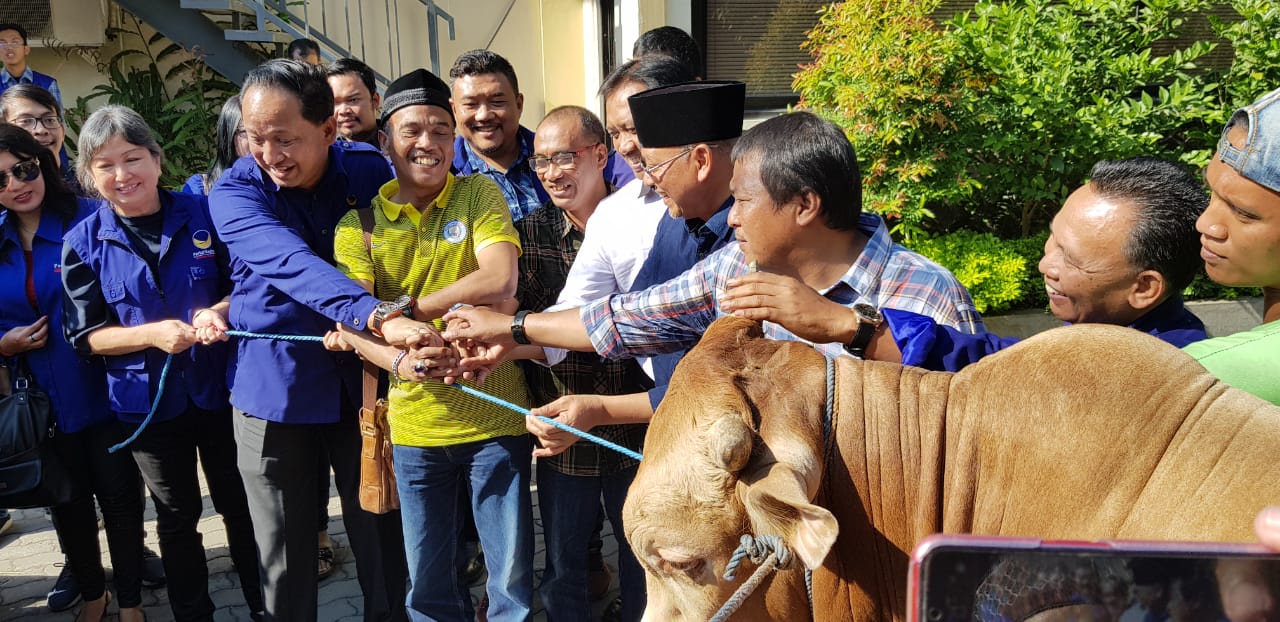 Salah satu hewan kurban yang diserahkan partai NasDem