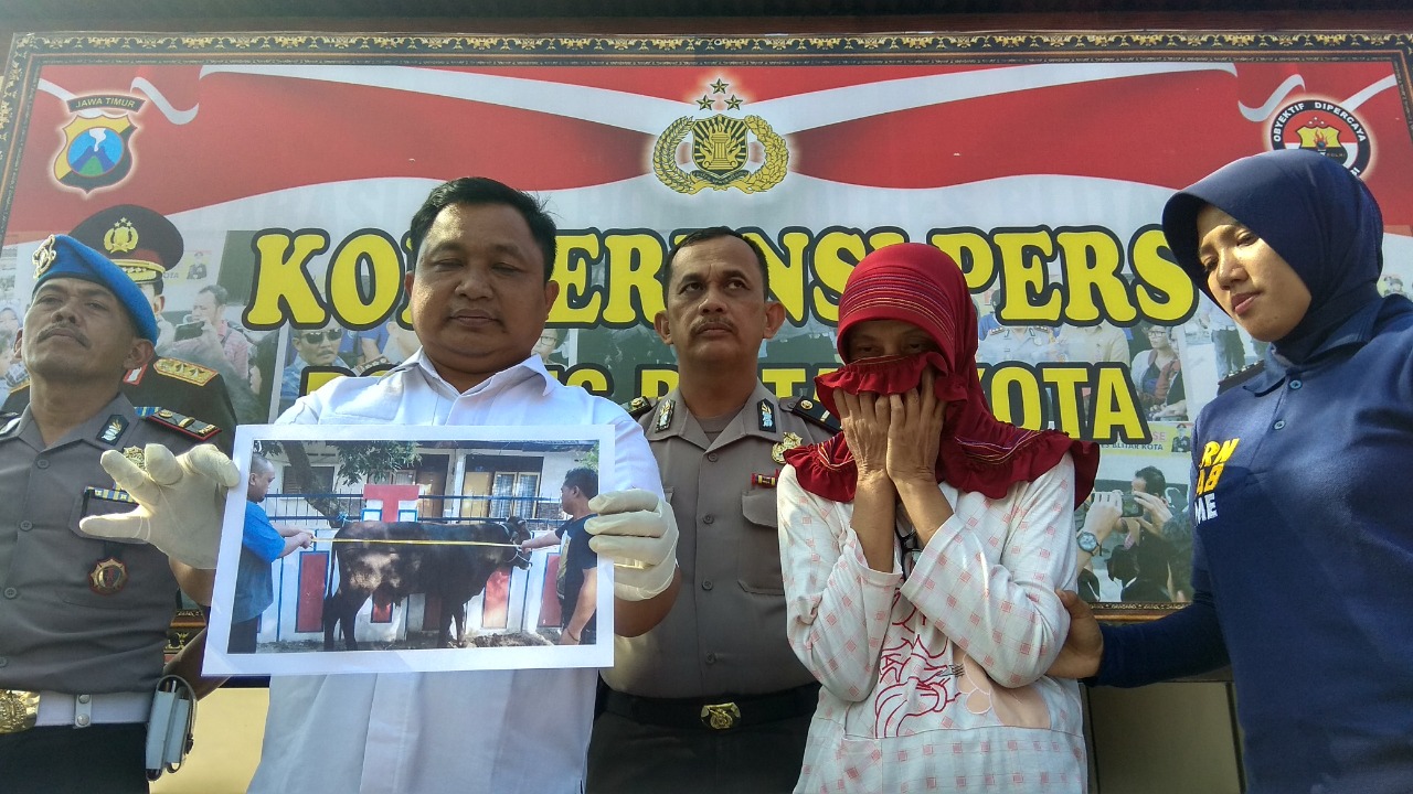Tawarkan Sapi Kurban, Wanita ini Malah Masuk Bui