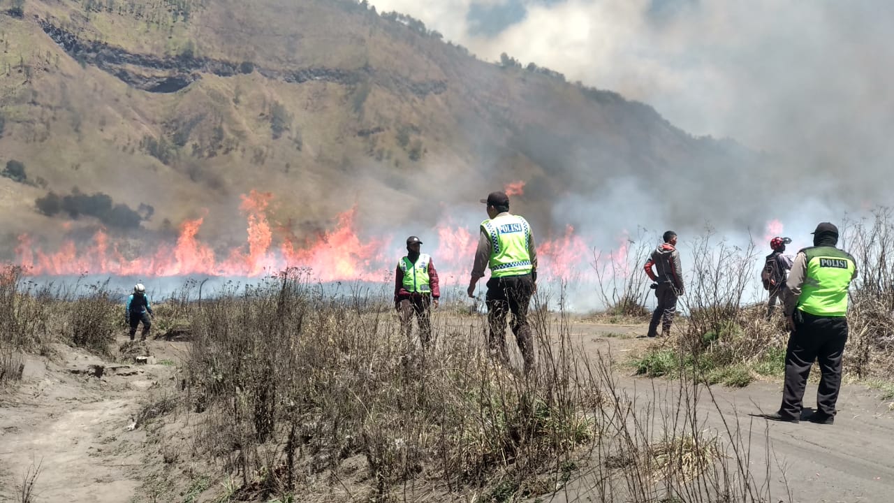 Foto: Kebakaran di Gunung Bromo