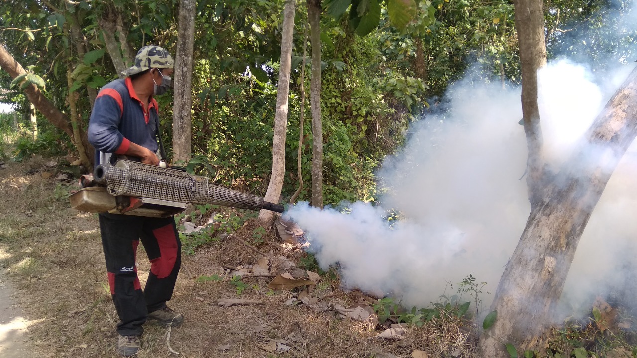 Kasus Demam Berdarah di Tulungagung meningkat, Dinkes lakukan fogging.