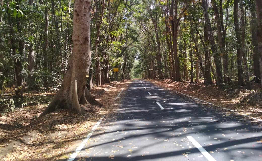  Hai Traveler, Akses ke Alas Purwo Sudah Mulus