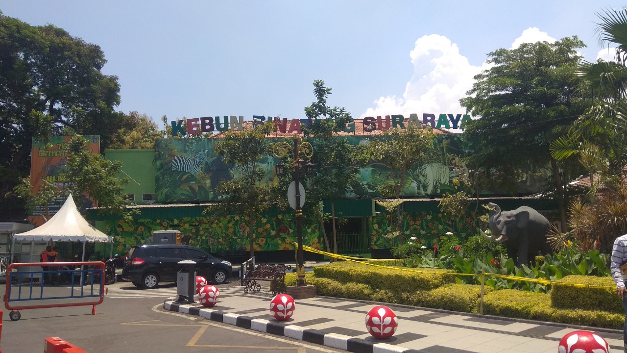 Kebun Binatang Surabaya Buka Lowongan, Ini Posisi yang Dibutuhkan