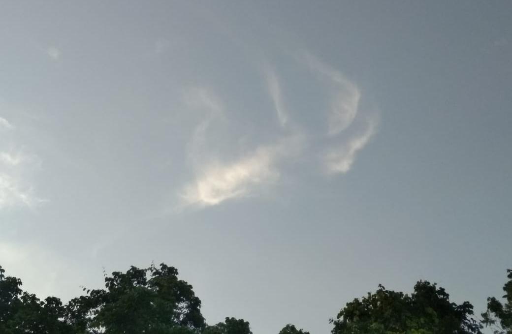 Foto: Irul Hamdani/jatimnow.com