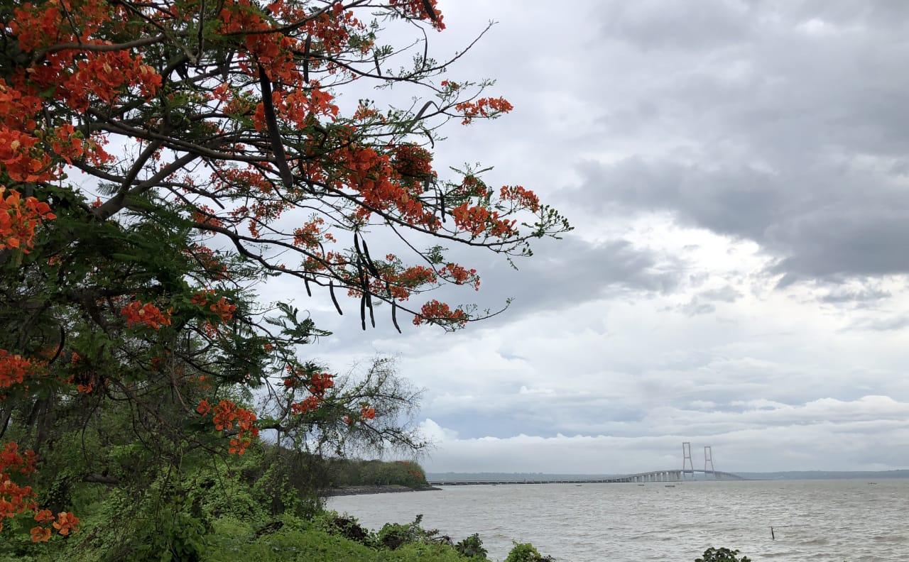 Foto-foto:: Fajar Mujianto