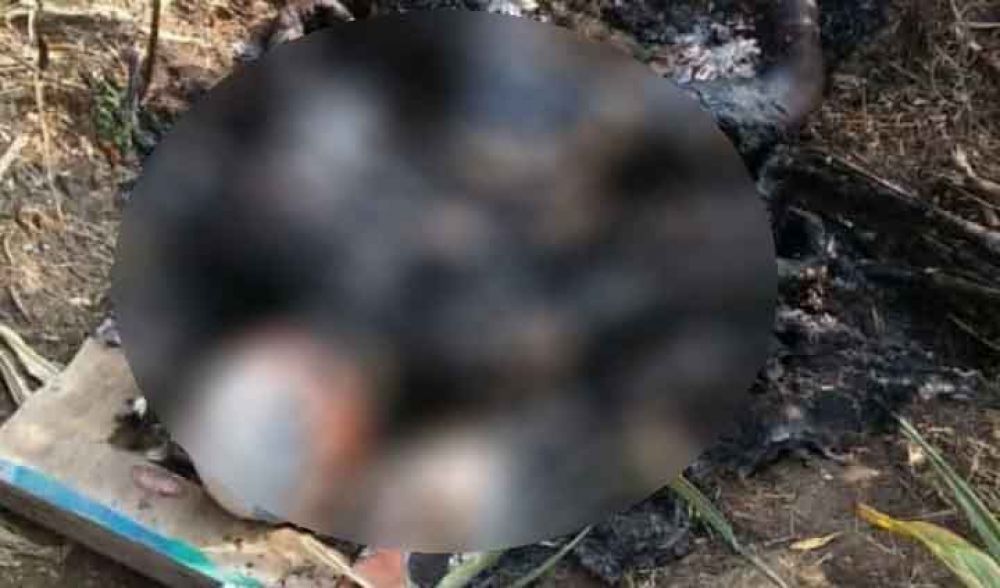 Mayat gosong di kebun tebu Mojokerto