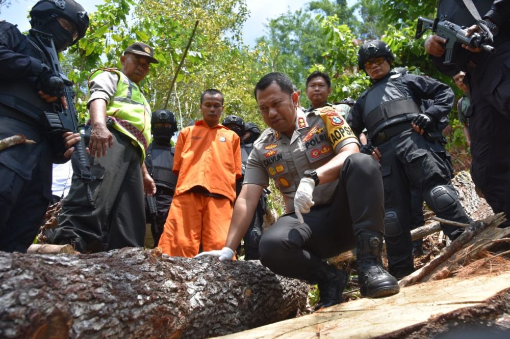 Polres Trenggalek bongkar kasus penebangan hutan