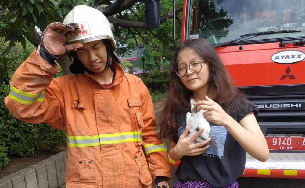 Kucing yang dievakuasi diserahkan ke pemiliknya