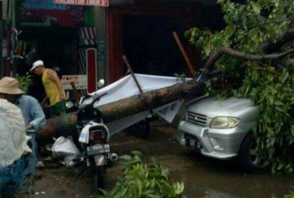 Mobil Daihatsu Taruna di Surabaya tertimpa pohon mauni