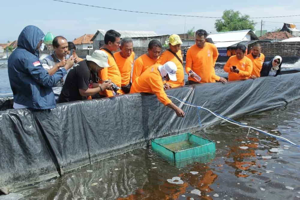 Petambak udang vaname belajar di Pasuruan