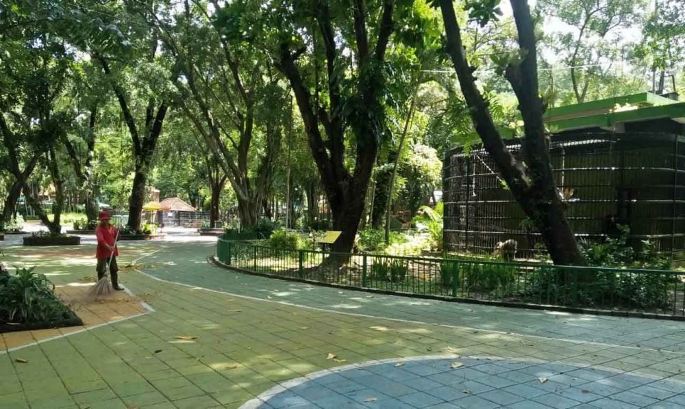 Kebun Binatang Surabaya Tutup Sementara, Bagaimana Nasib Satwa?