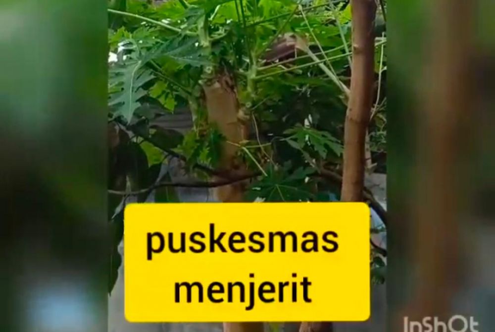 Tangkapan layar video jeritan petugas puskesmas di Surabaya untuk Wali Kota Risma yang beredar