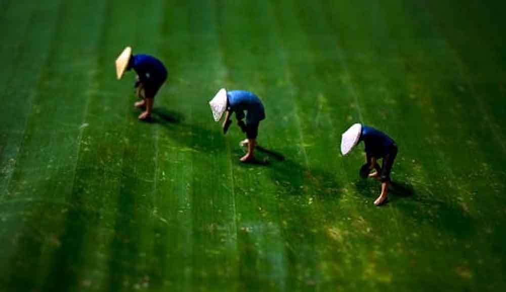 'Memotret Tuyul' oleh Alfon Iskandar Wikardo