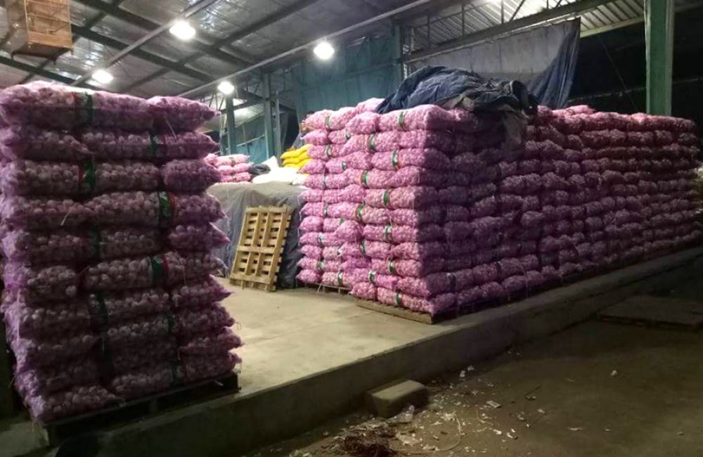 Transisi New Normal, Aktivitas Para Pedagang PIOS Mulai Bergairah