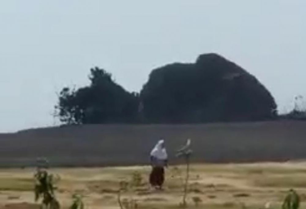 Lumpur Menyembur dari Lokasi Mencari Pesugihan Kubur 17 Kerbau?