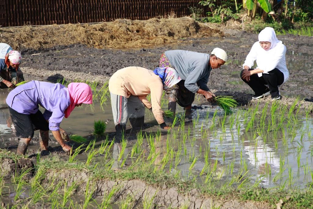 Gubernur Khofifah dan petani di Jatim