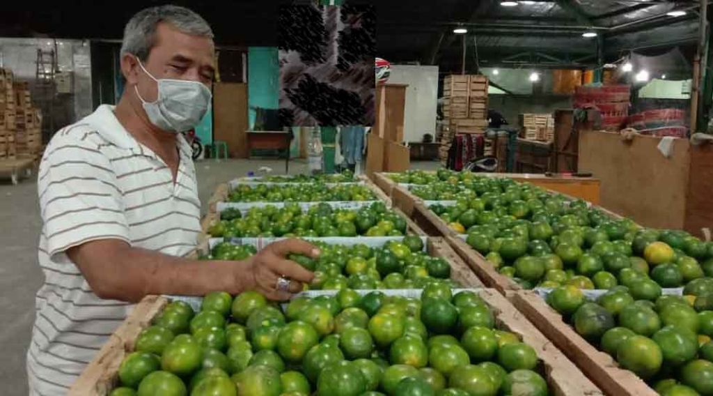 Sutrisno pedagang di PIOS tunjukkan buah jeruk yang didatangkan dari Banjarmasin