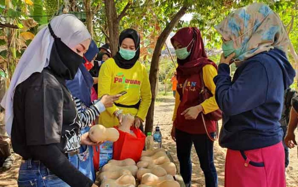 Wisata petik labu madu