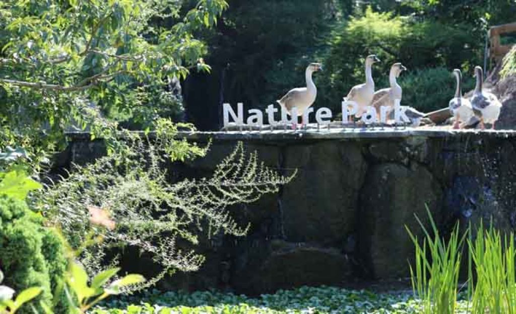 Wisata di Korea Selatan