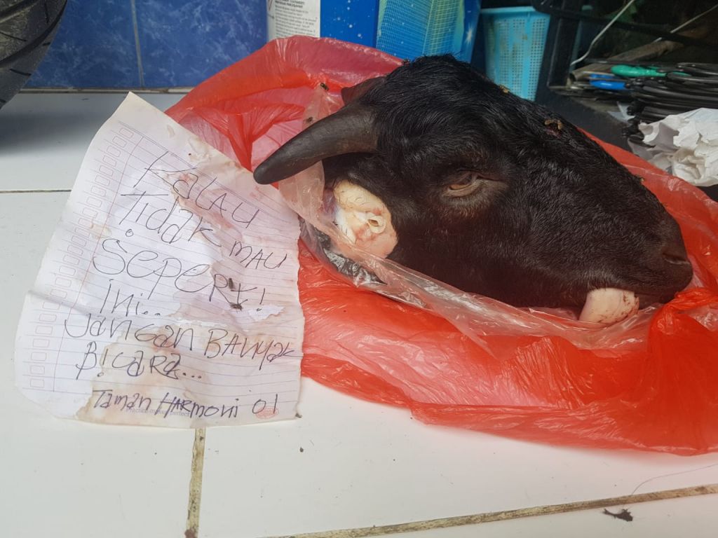 Potongan kepala kambing di rumah Novli Thysen serta kertas bertuliskan pesan khusus