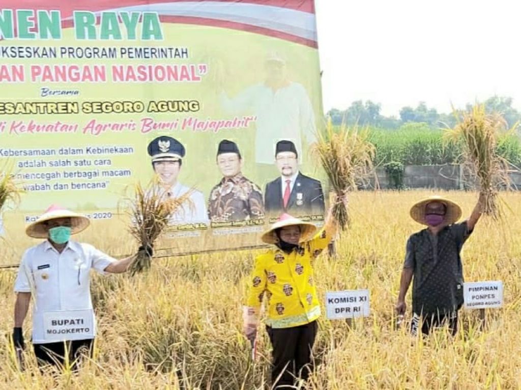 Ketua Golkar Jatim Instruksikan Pengurus dan Anggota Beli Beras dari Petani
