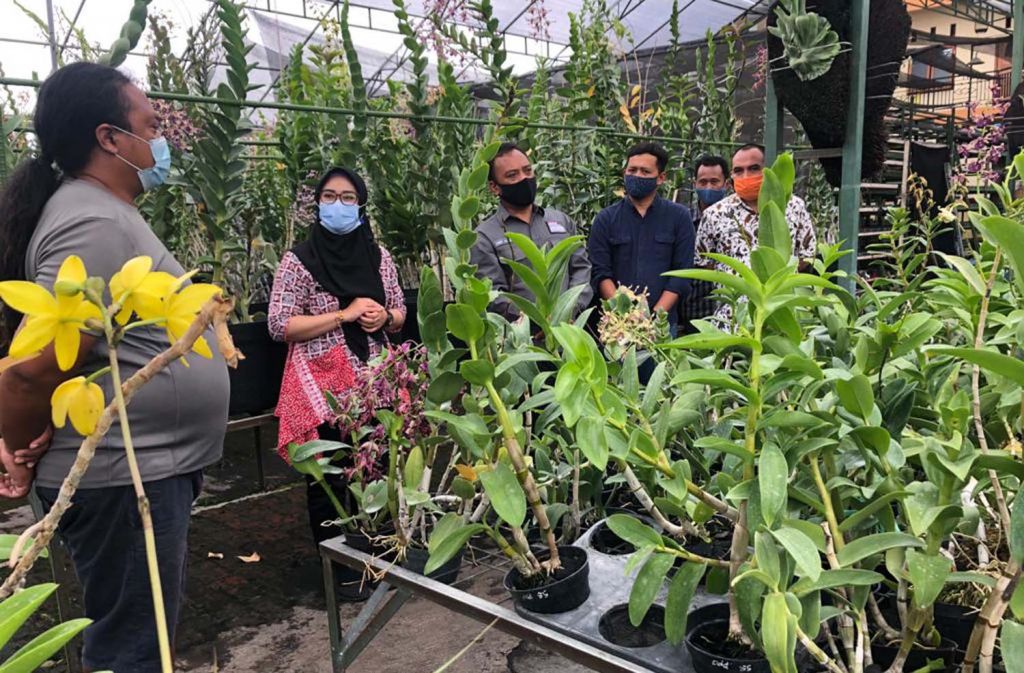 Taman anggrek di wisata edukasi Kelurahan Dadaprejo, Kecamatan Junrejo, Kota Batu