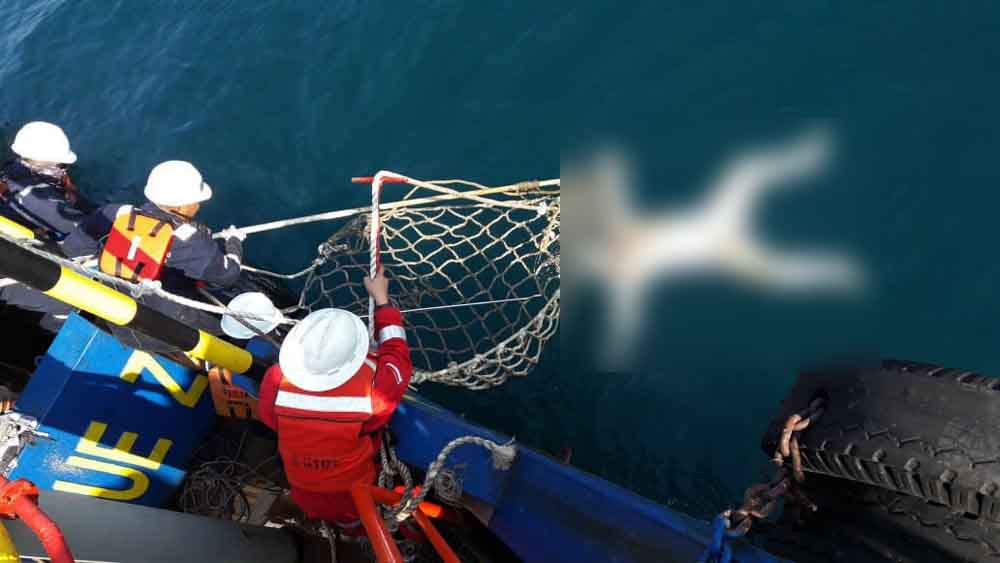 3 Mayat Ditemukan Mengapung di Perairan Madura