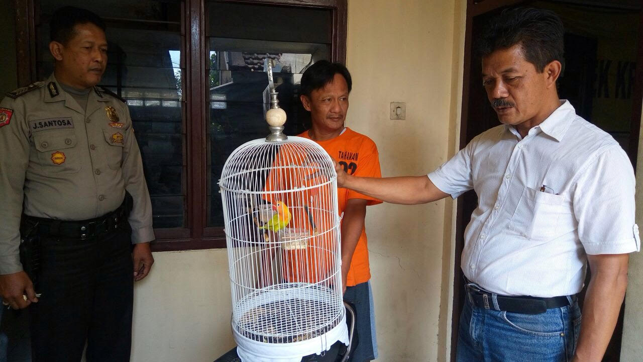 Bahri dan burung love bird yang dicurinya saat diamankan di Mapolsek Krembangan, Surabaya.