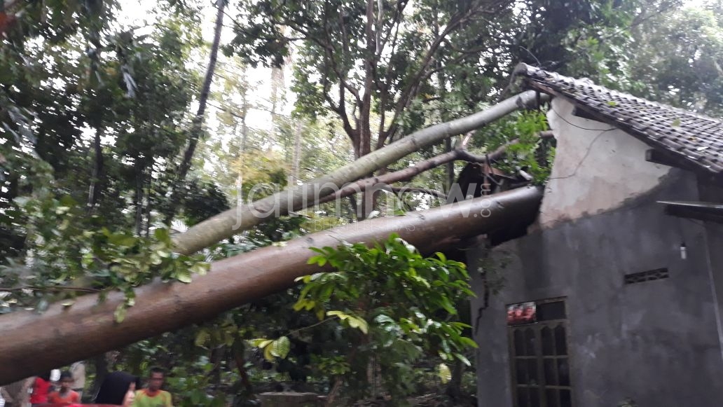 Ilustrasi rumah warga yang tertimpa tiang listrik akibat diterpa angin puting beliung/dok.jatimnow.com