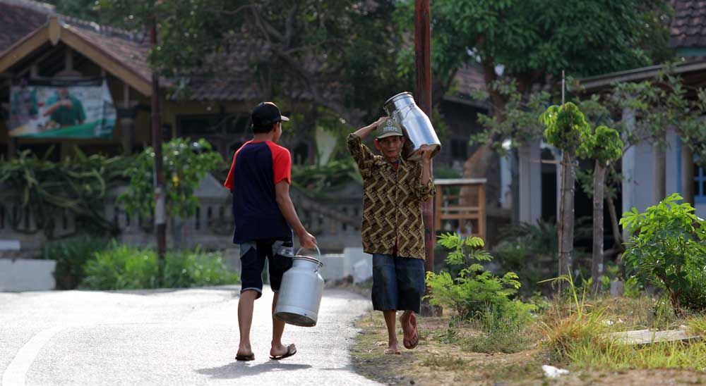Masyarakat menuju dan dari koperasi  menyetor susu sapi/ Foto-foto: Budi Sugiharto-jatimnow.com