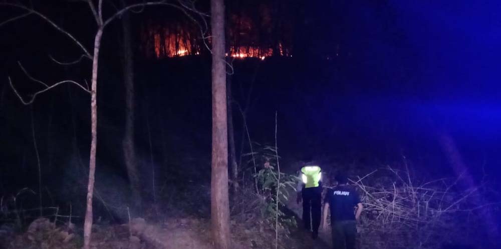 8,5 Hektar Lahan Perhutani di Ponorogo Terbakar 
