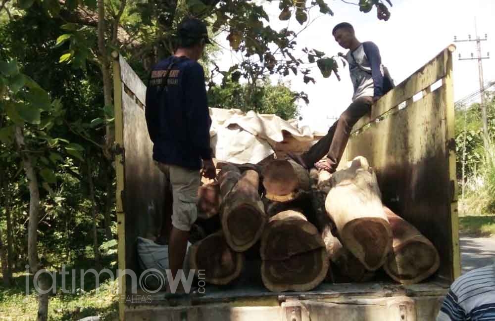 Sembunyikan Kayu di Tumpukan Padi, Dua Blandong di Ngawi Tercyduk