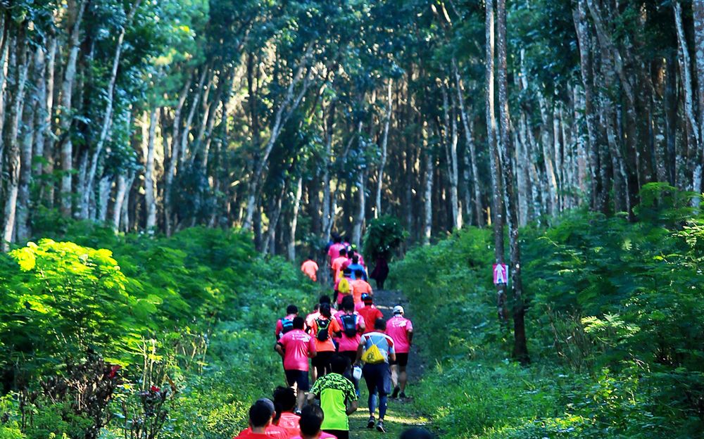 Gombengsari Run, Lomba Lari dengan Pemandangan Indah di Banyuwangi