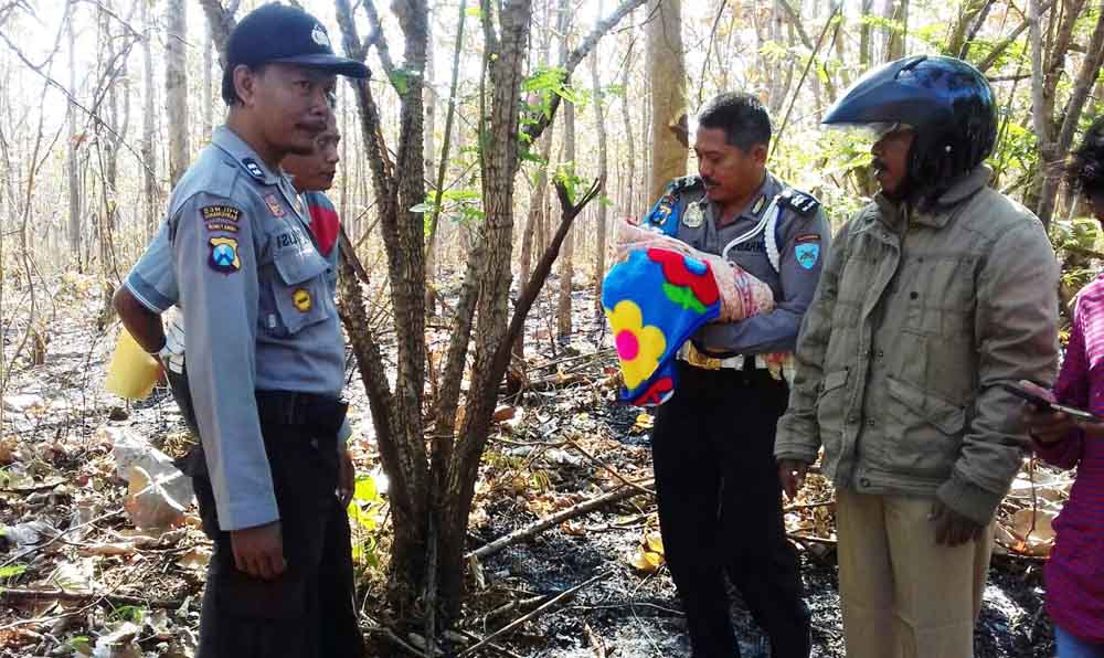 Petugas membawa bayi yang ditinggalkan di hutan perbatasan Banyuwangi-Situbondo