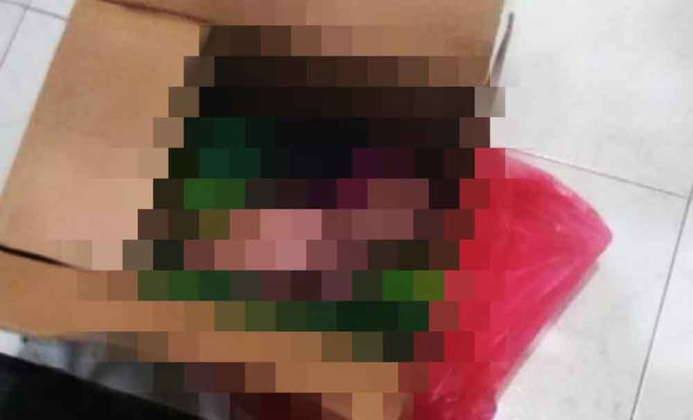 Mayat bayi di teras musala