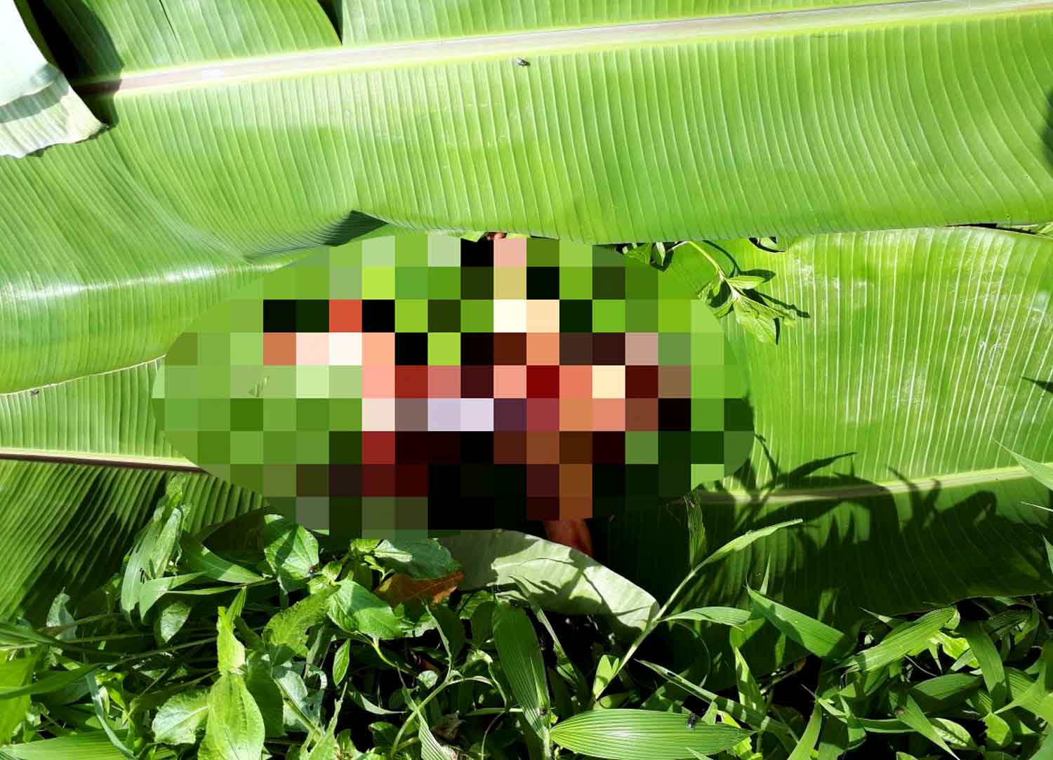 Mayat bayi di Sungai Bengawan Solo.