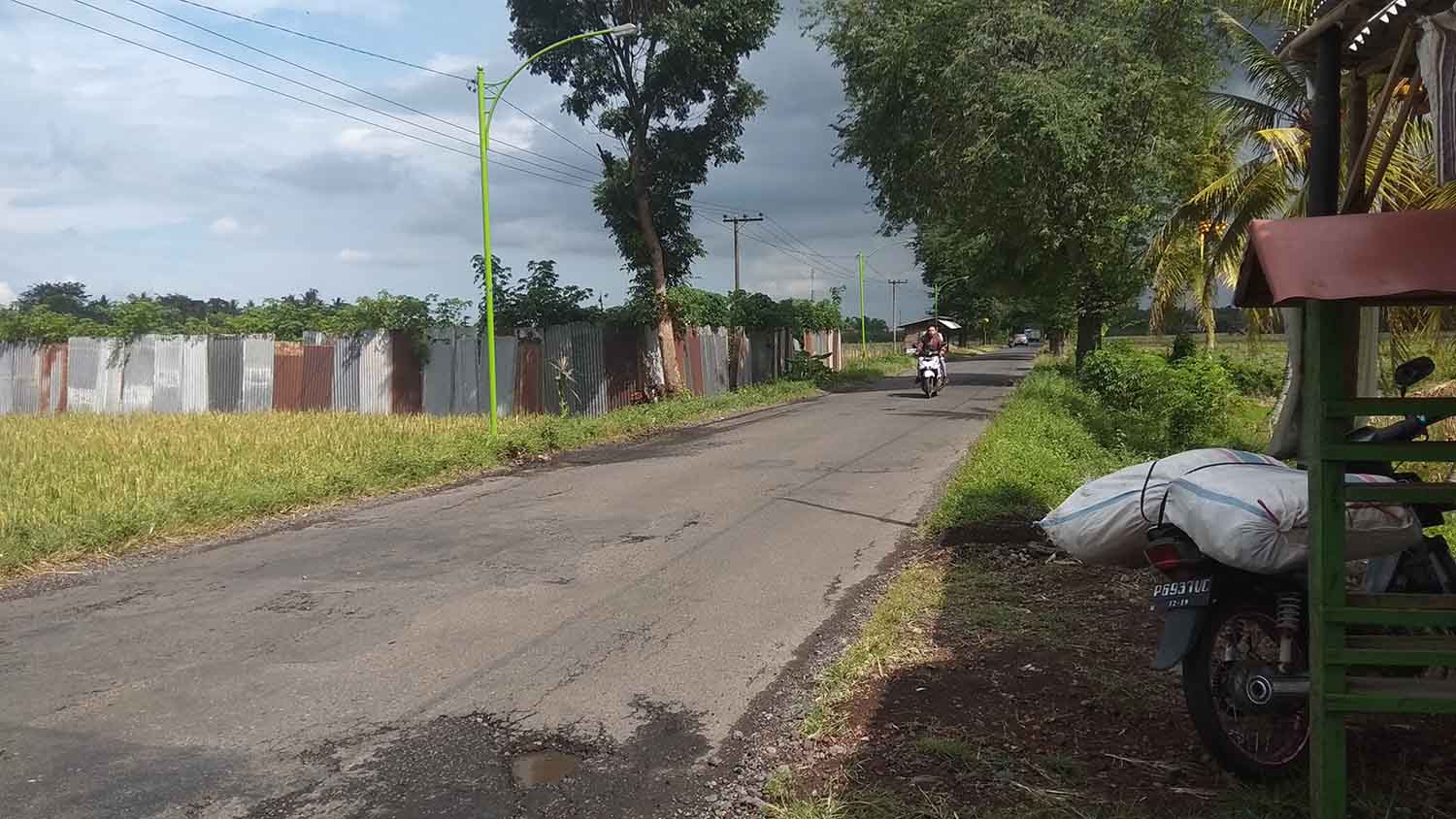 Suasana jalan di bulak sawah Pekulo siang hari.