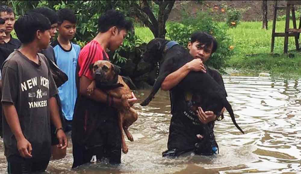 Banjir di Blitar Surut, Warga Keluhkan Gatal-gatal