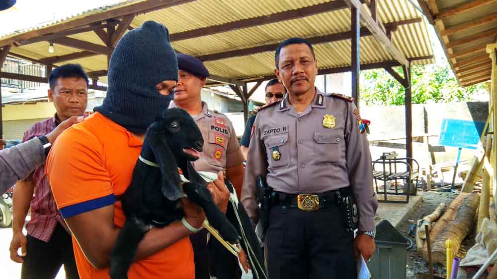 Tersangka pencuri kambing saat berada di Mapolsek Lodoyo Barat