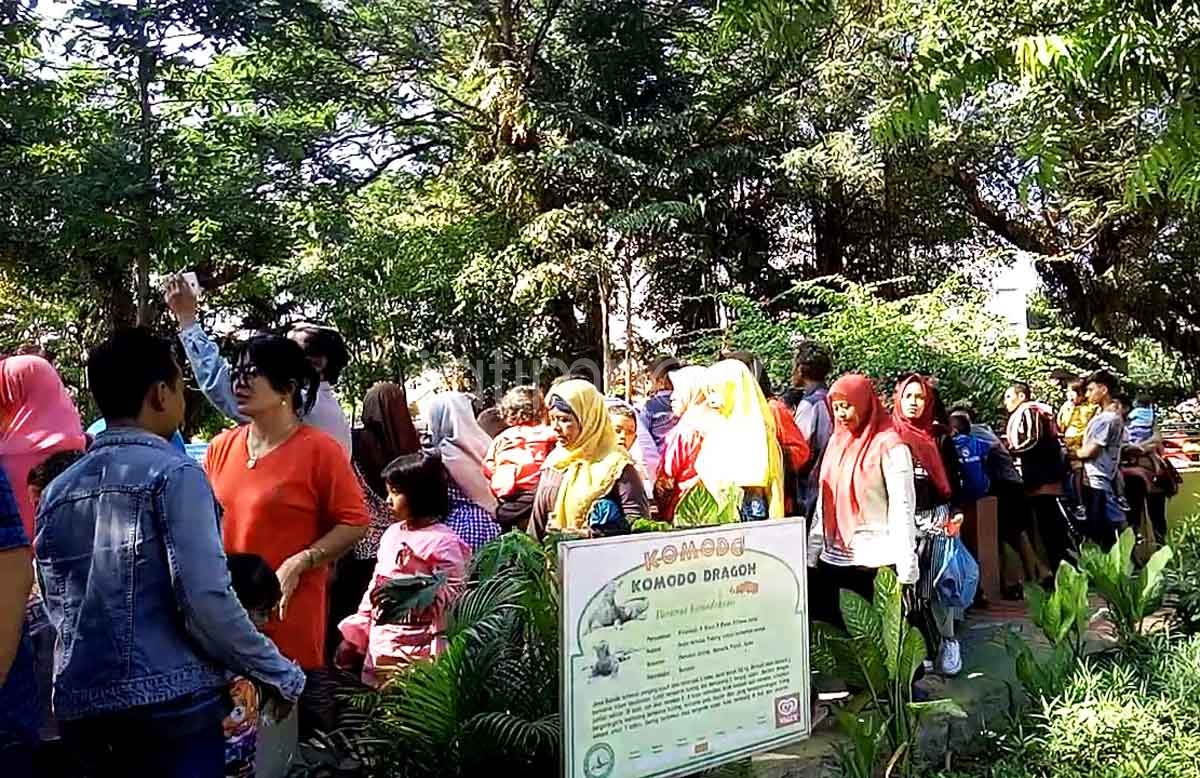 Pengunjung Kebun Binatang Surabaya pada H+2 Lebaran 2018