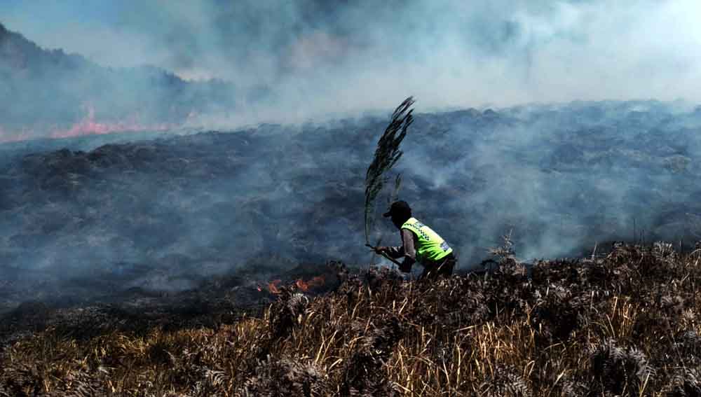 Petugas memadamkan kobaran api dengan ranting kayu