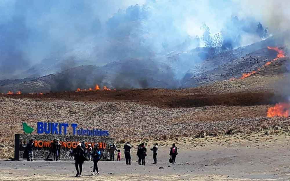 Kebakaran di Bukit Teletubbies kawasan Bromo