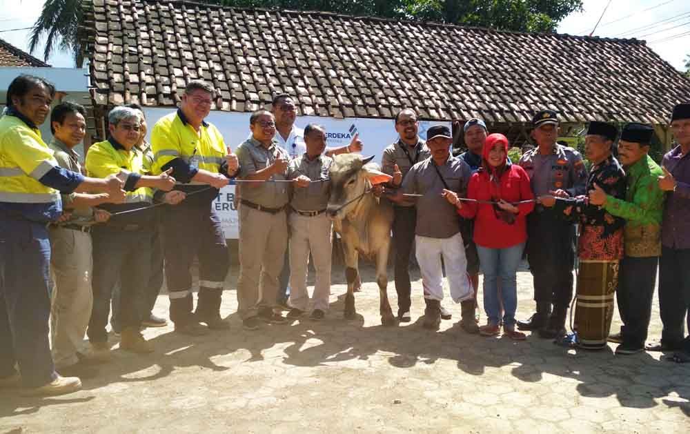 Pemberian hewan kurban oleh PT BSI
