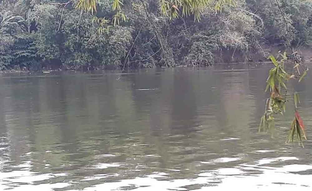 Sungai Bengawan solo tempat munculnya buaya