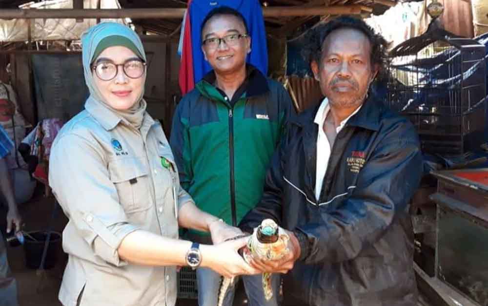 Mancing Sidat, Warga Banyuwangi Dapat Buaya Muara