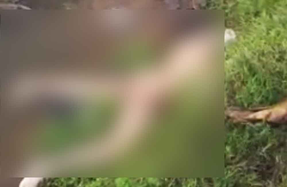 Potongan gambar dari video wanita bugil yang viral